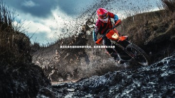 YY易游体育平台：国王队连克强敌森林狼与掘金，喜迎本赛季首次连胜